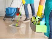 well-established cleaning services business