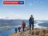 luxury travel business profitable