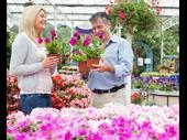 garden centre nursery tea