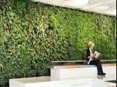 plant botanical design company