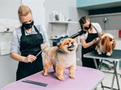 highly rated dog groomers