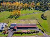 affordable freehold with upside