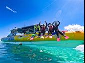 accommodation tourism business for