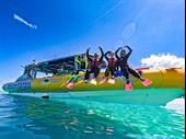 accommodation tourism business for