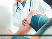 established health wellness franchise