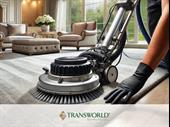 thriving carpet upholstery cleaning