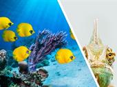 exotic pet shop for