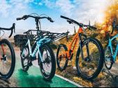 bicycle centre bendigo