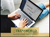 well-established it services business