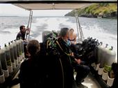 well established padi 5