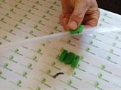 established multifunctional zip seal