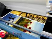 print shop stationery south