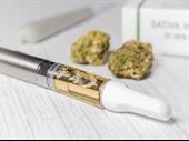 established cannabis dispensary squamish
