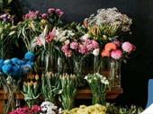 for sale well-established florist