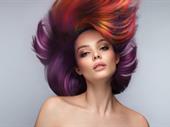 modern established salon melbourne's