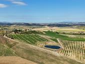 tuscan farm with wine