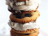established frozen health dessert