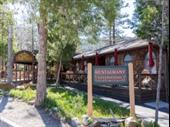 established gastrognome restaurant idyllwild