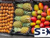 under management fruit market