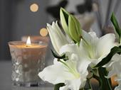 established funeral business united