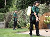 established lawn care business