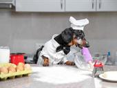 established dog bakery boutique