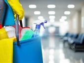 established cleaning business with