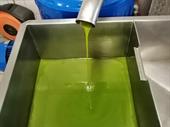 established historic italian olive