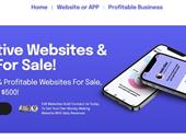 profitable online business