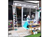 established pet boutique grooming