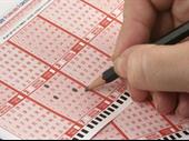 thriving tatts lotto business