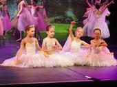 dance academy school north