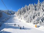 profitable ski hotel resort
