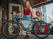 profitable e-bike franchise online
