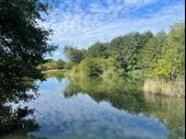 renowned commercial carp fishery
