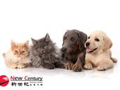 pet grooming pet supplies