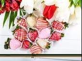 specialty gift business central