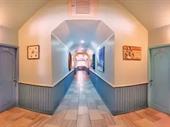 green parrot suites placencia