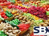 fruit vegetables fresh produce