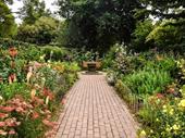 london based gardening garden
