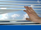 for sale established blinds