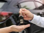 turo co-hosting business dania