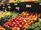 premier south florida produce