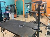 established pet grooming salon