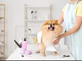 pet grooming store oakland