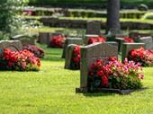 turnkey cemetery business plus