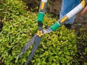 profitable established landscape maintenance