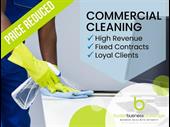 established cleaning business with