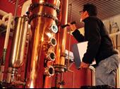 distillery montana