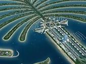 golden investment opportunity palm